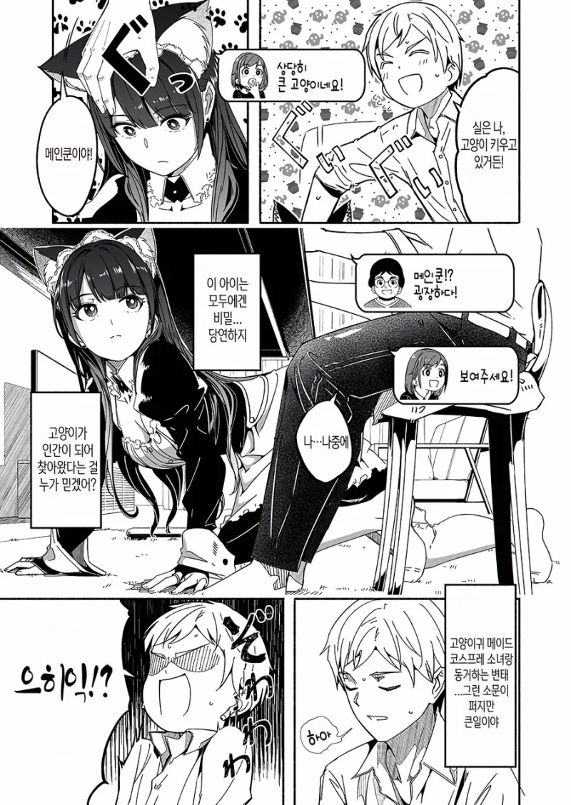 고양이 안키우면 모르는 고양이 특징.manga - 이미지 3