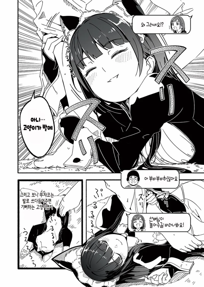 고양이 안키우면 모르는 고양이 특징.manga - 이미지 4
