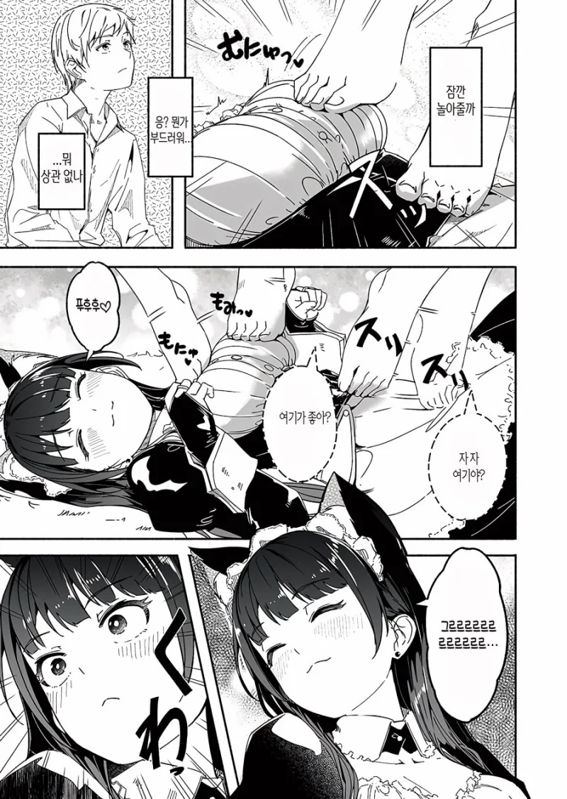 고양이 안키우면 모르는 고양이 특징.manga - 이미지 5