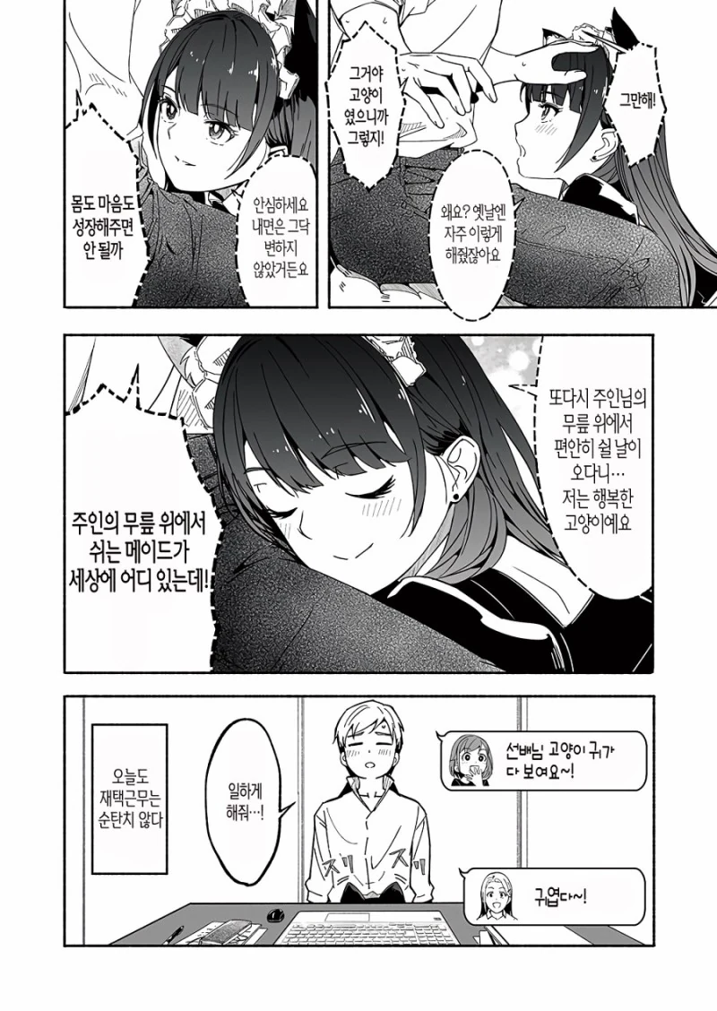 고양이 안키우면 모르는 고양이 특징.manga - 이미지 8
