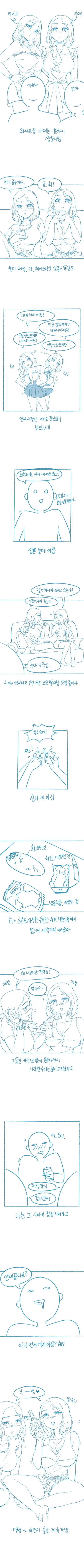 ㅇㅎ) 와이프가 쌍둥이인 만화
