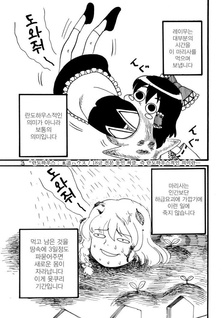 하쿠레이 레이무의 하루.manga - 이미지 3