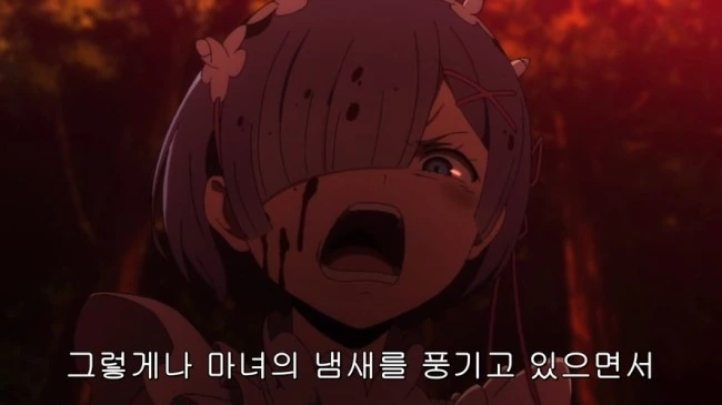 리제로)렘한테 한번쯤 보여주고싷은거