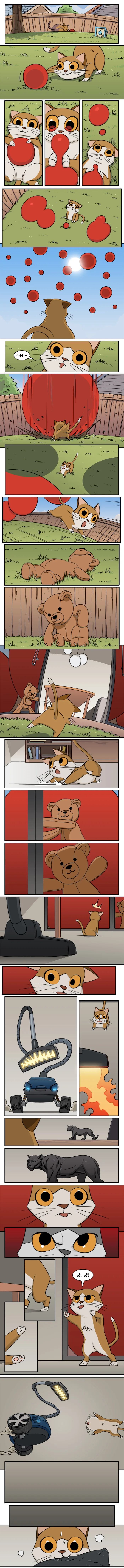 새끼 고양이가 보는 세상 만화Manhwa.