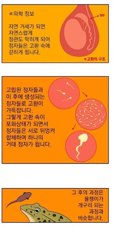 ㄱㅎㅇㅅ.manga - 이미지 2