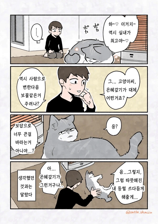 은혜갚은 고양이 - 이미지 2