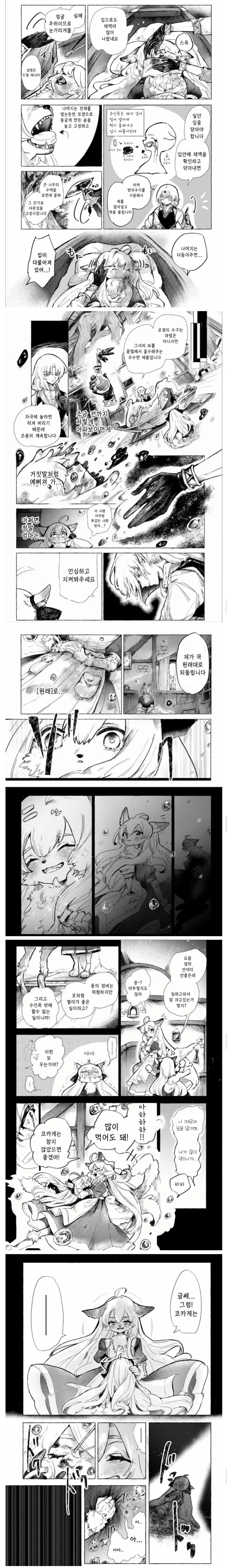 뭐든지 죽이는 엘프와 수인 manhwa - 이미지 4