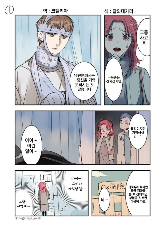 기억상실 만화