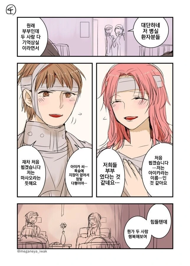 기억상실 만화 - 이미지 4