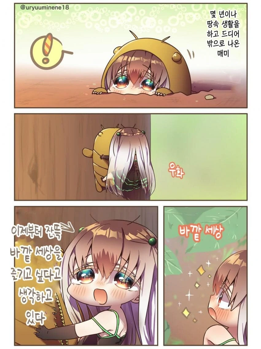 매미 모에화.manwha