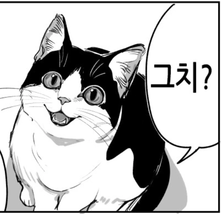 고양이를 졸라 잘그린 히키코모리 여장.MANHWA - 이미지 12