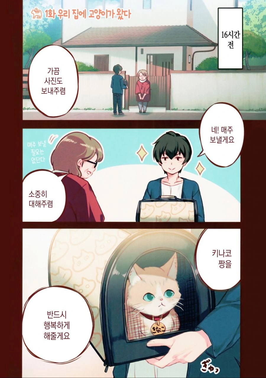 본격 고양이 키우는 만화.manwha - 이미지 5