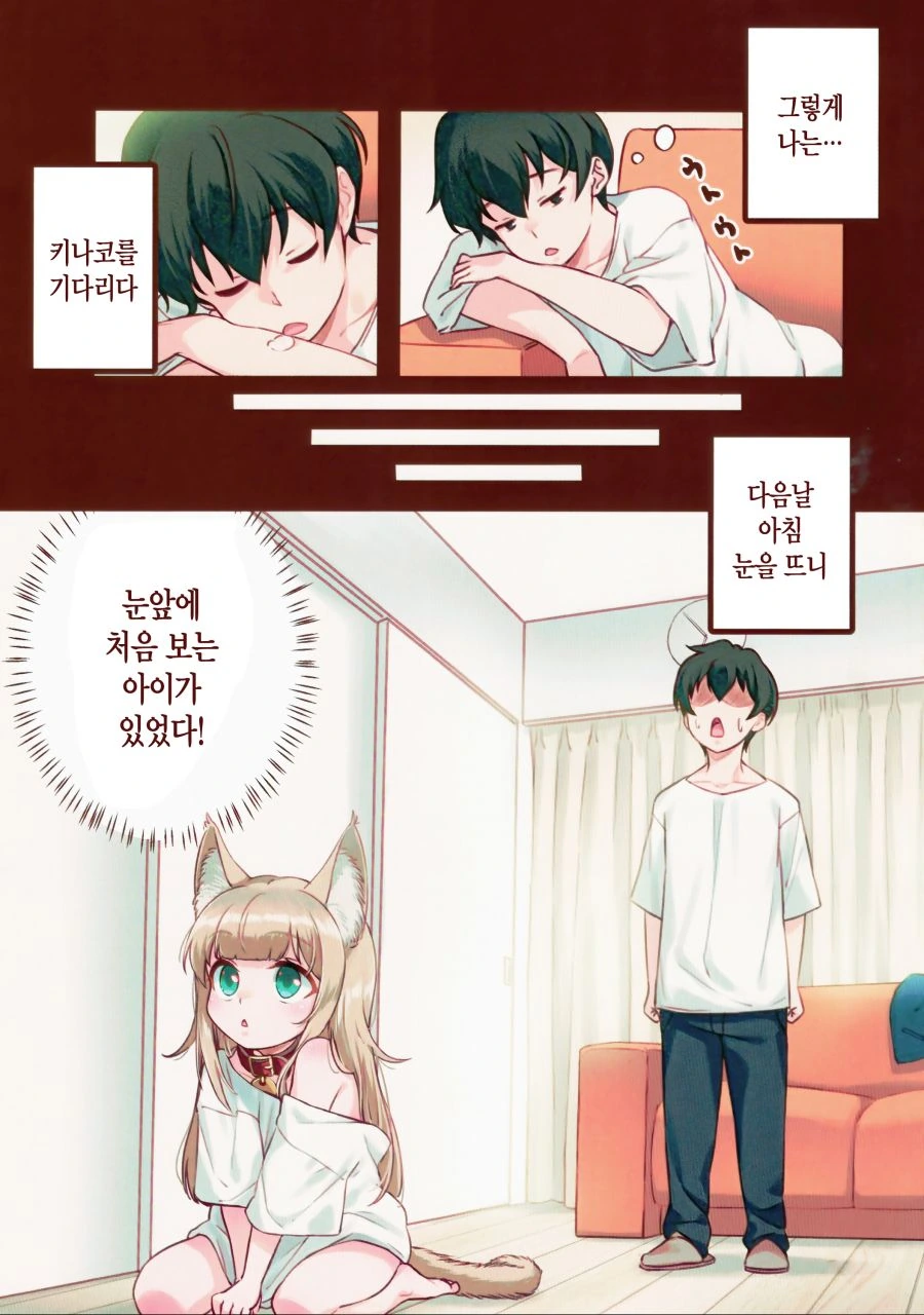 본격 고양이 키우는 만화.manwha - 이미지 8