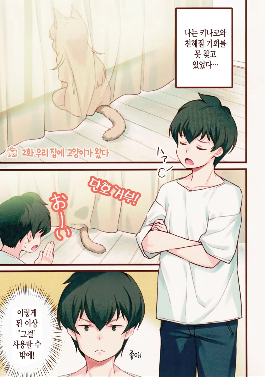 본격 고양이 키우는 만화.manwha - 이미지 14