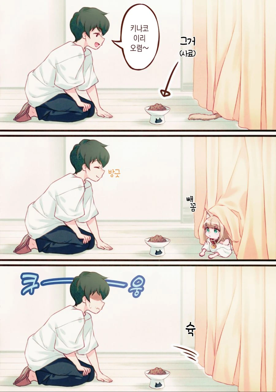 본격 고양이 키우는 만화.manwha - 이미지 15