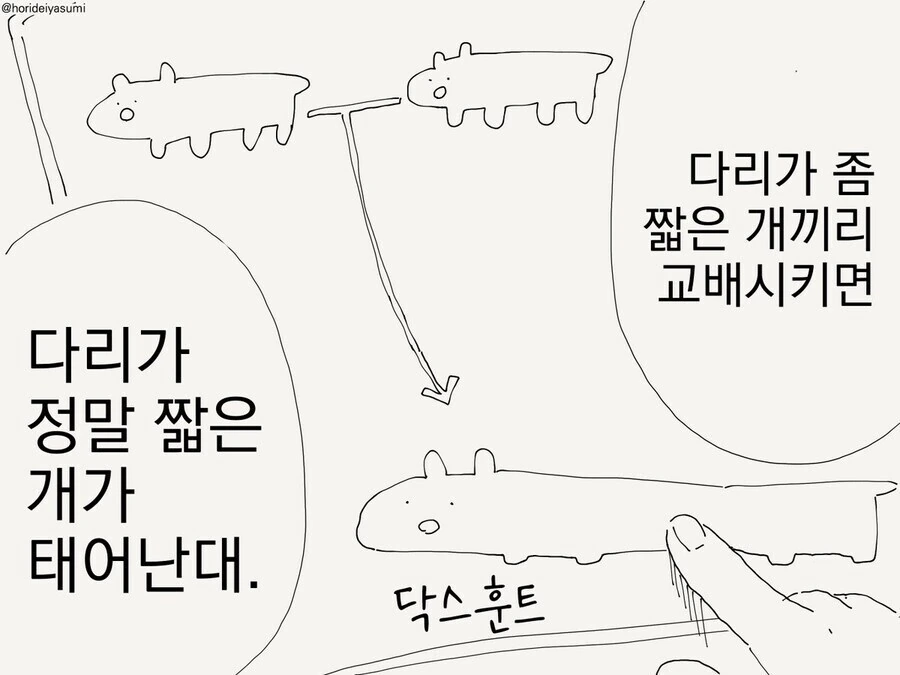 인간이 늑대에서 댕댕이를 만들어낸 방법 manga - 이미지 2