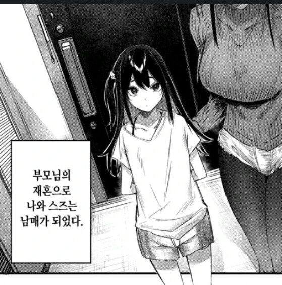 어느 ㄱㅊ 만화의 씬스틸러