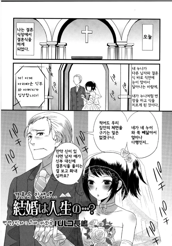 신랑을 버린 신부 만화