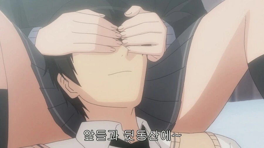 푹신푹신한 배게
