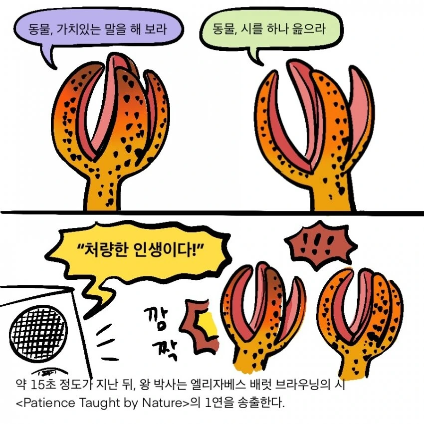 manga_2356506_010_54a240ef241f.webp