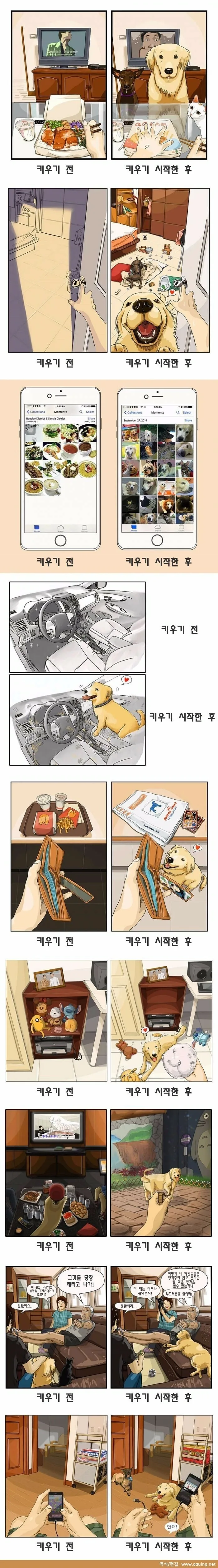 반려동물을 키우기 전과 후.manhwa