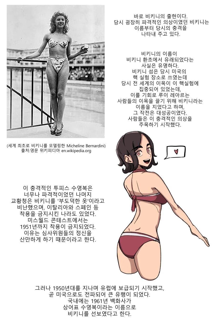 수영복에 대해 알아보는 만화 - 이미지 5