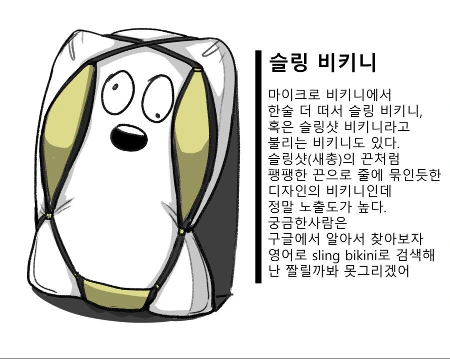 수영복에 대해 알아보는 만화 - 이미지 14
