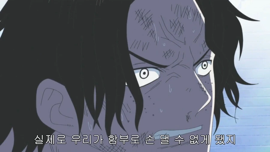 원피스) 에이스가 해군에게서 받던 평가 - 이미지 6