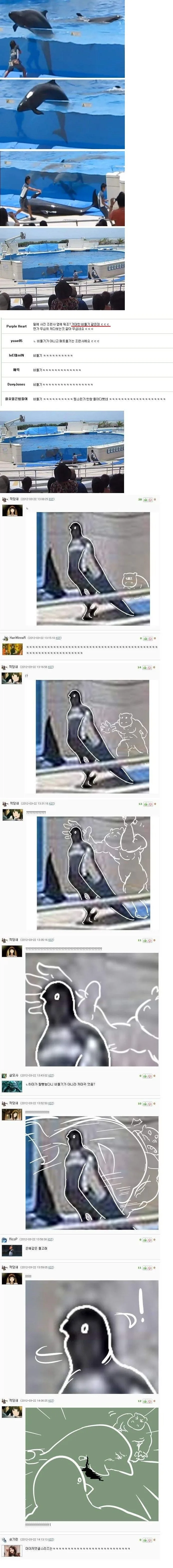 돌고래 보러온 비둘기.manhwa