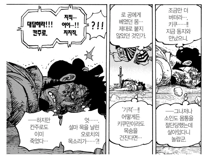 원피스)죽음은 사람의 완성이다 - 이미지 4