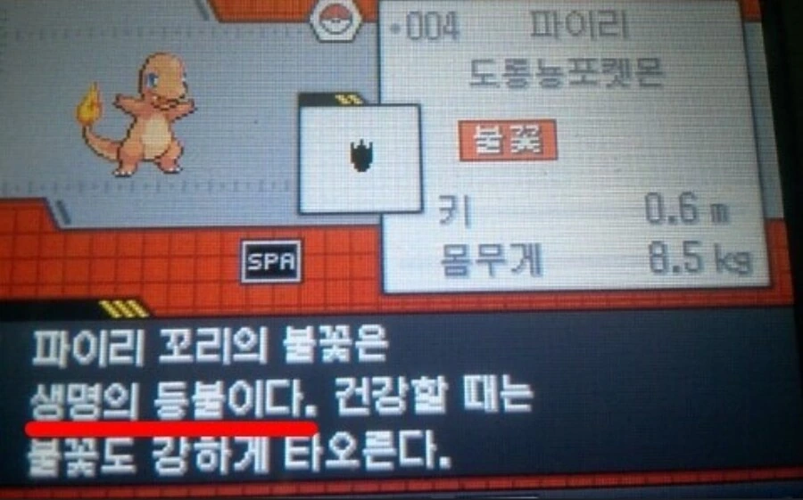 파이리와 꼬부기 만화 - 이미지 2