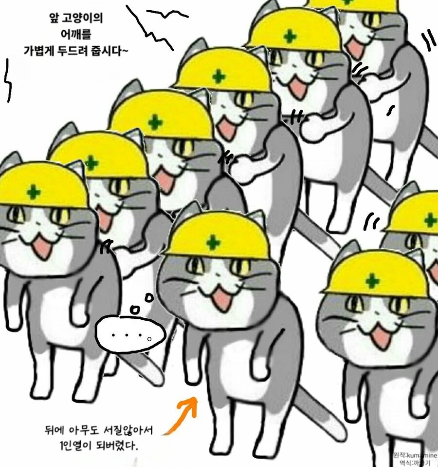 ㅈ소 고양이 좋아쓰!! 최신 모음 manhwa