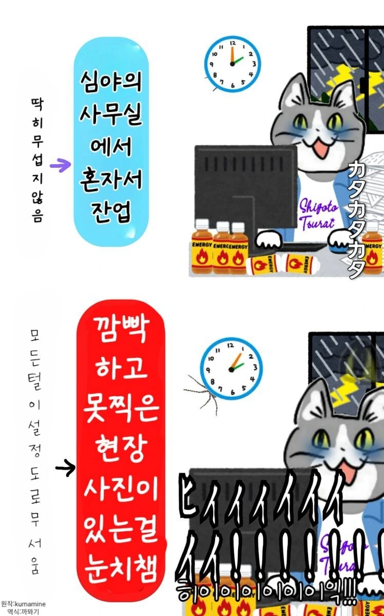 ㅈ소 고양이 좋아쓰!! 최신 모음 manhwa - 이미지 3
