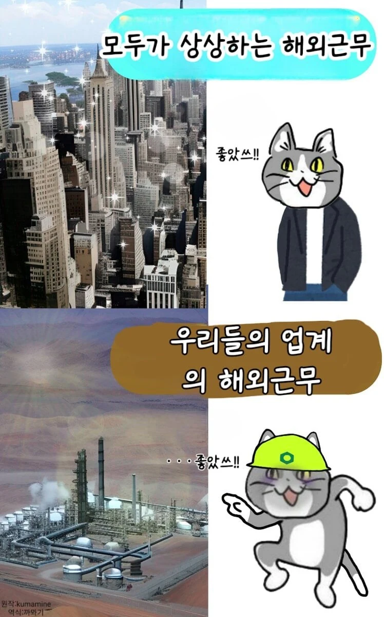 ㅈ소 고양이 좋아쓰!! 최신 모음 manhwa - 이미지 4