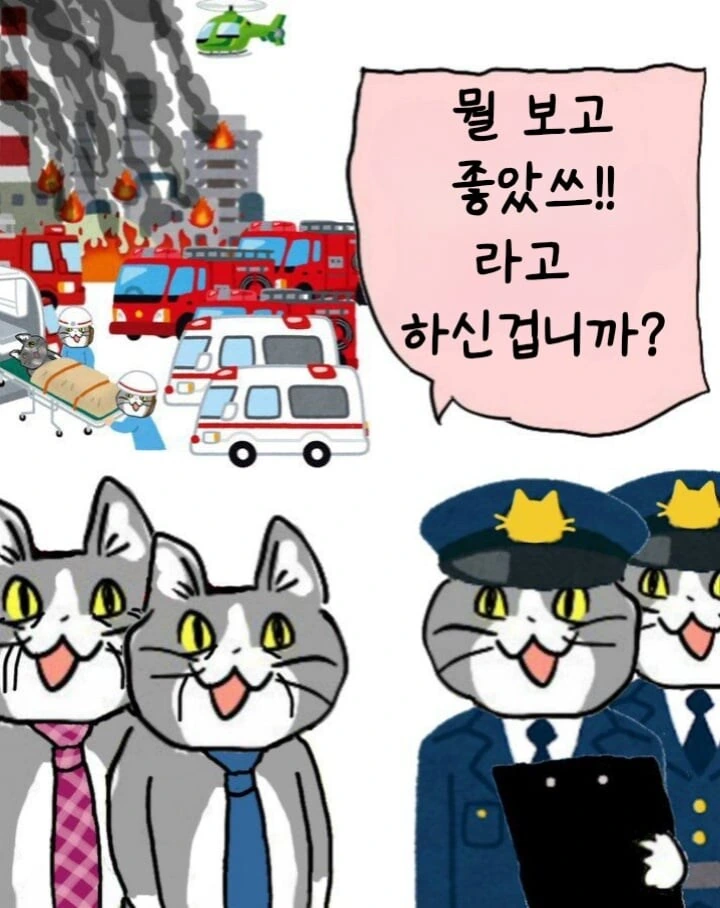 ㅈ소 고양이 좋아쓰!! 최신 모음 manhwa - 이미지 10