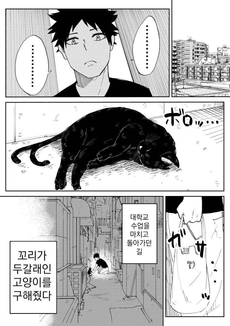 manga_2559370_001_aa3a2a360879.webp