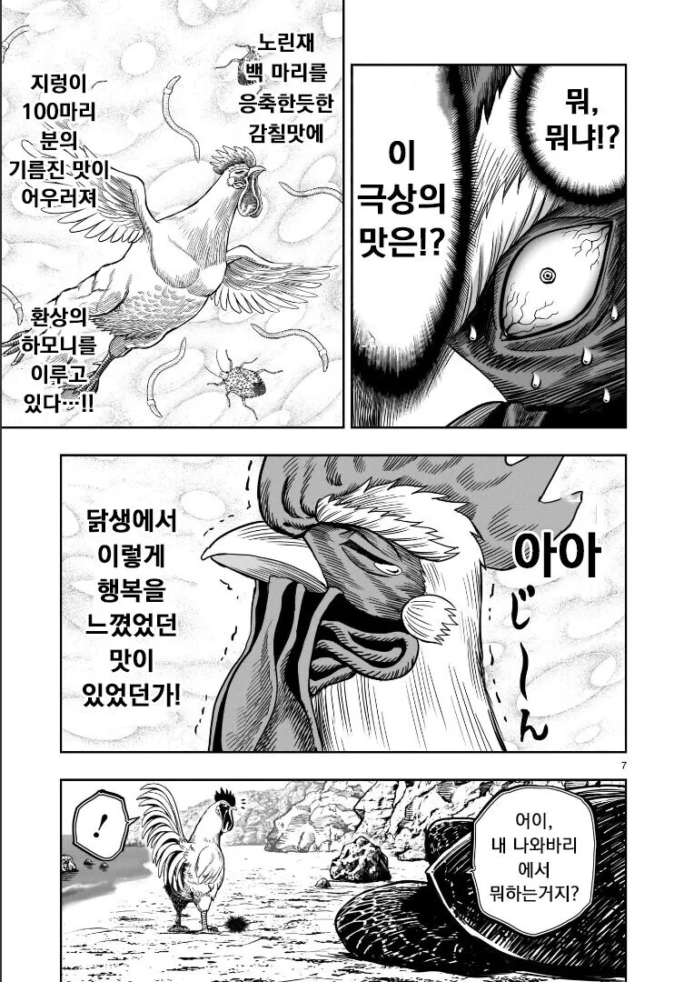 전설의 치킨vs거북이.manhwa - 이미지 3