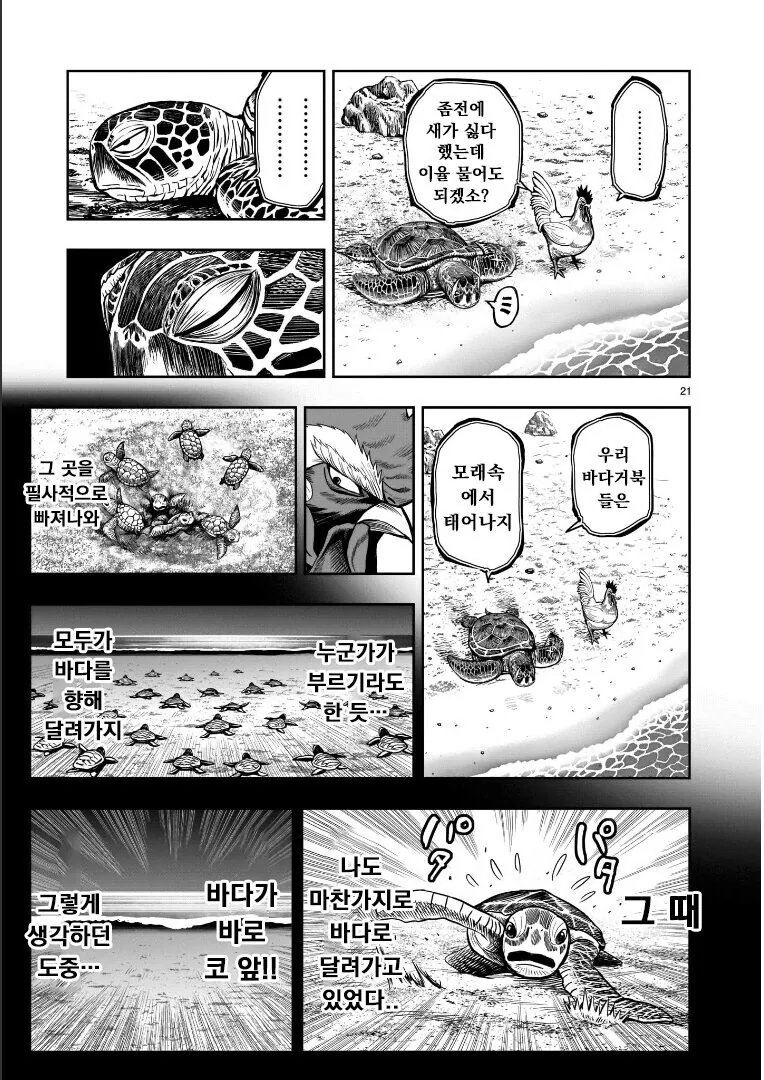 전설의 치킨vs거북이.manhwa - 이미지 15