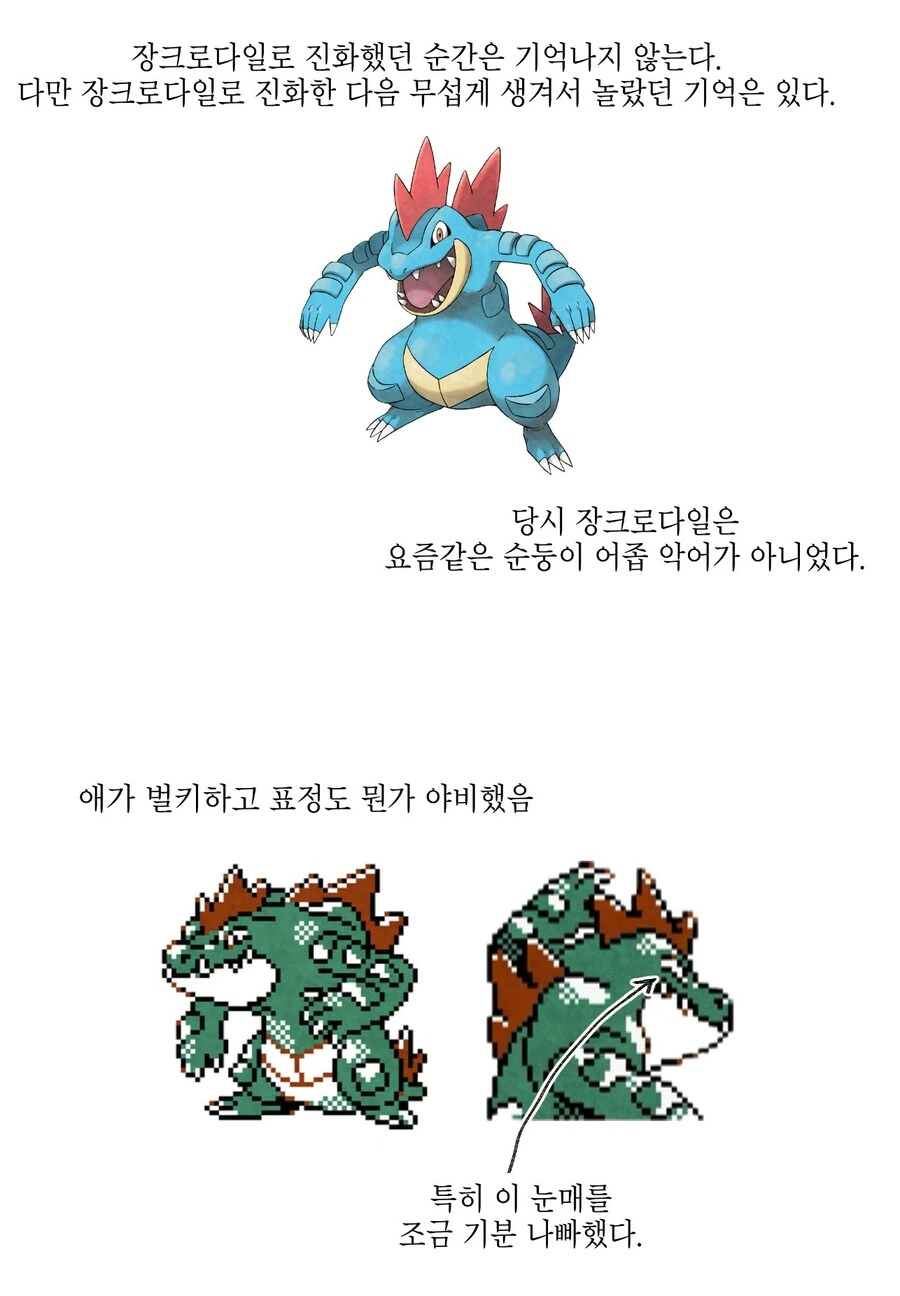 포켓몬 처음해보는 만화 - 이미지 8