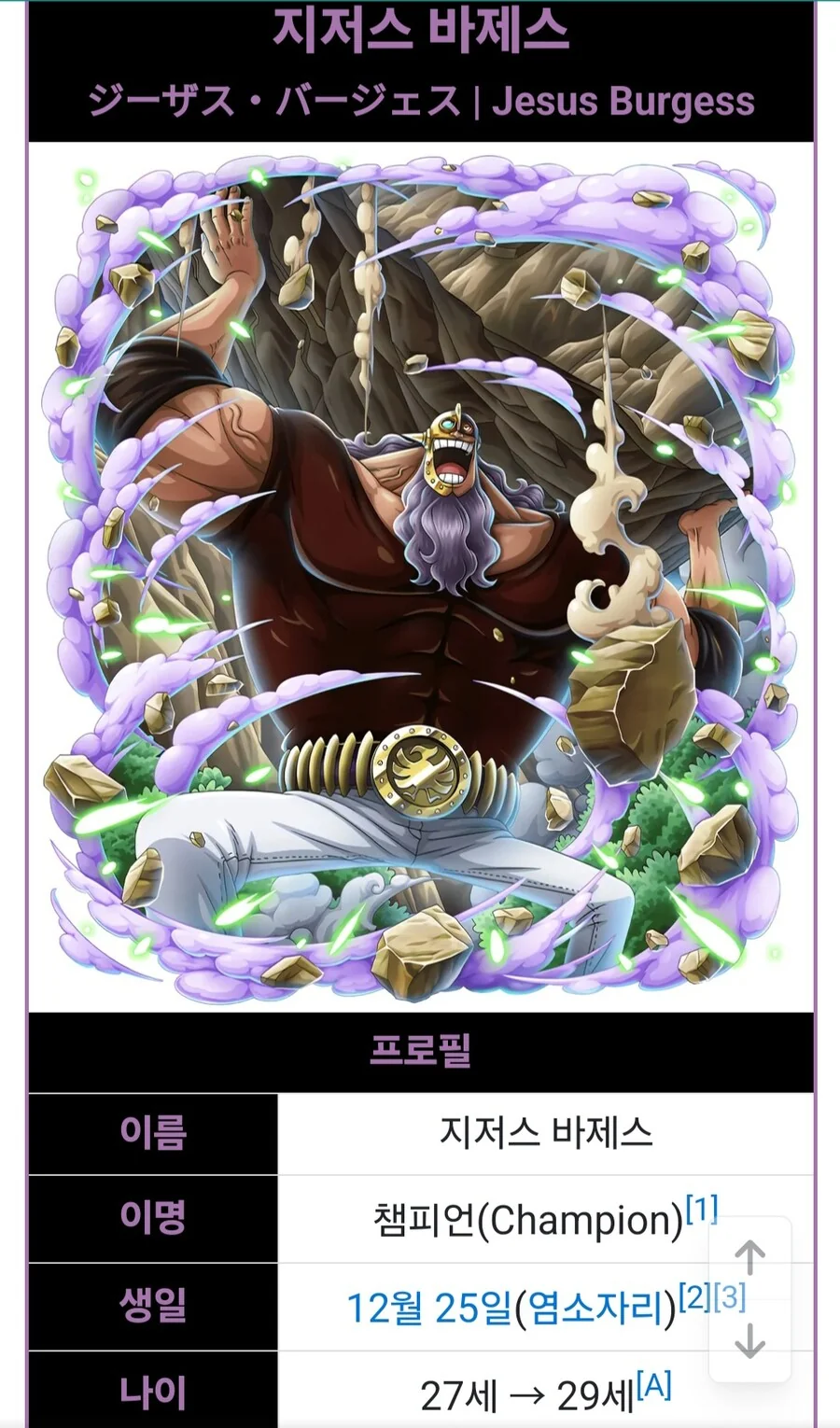 원피스)검은 수염 해적단 특징