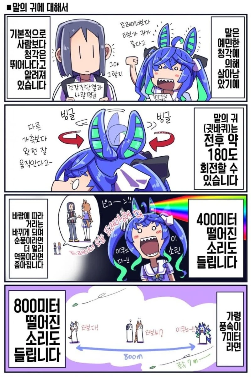 말딸) 말에 대한 이것저것.manhwa - 이미지 3
