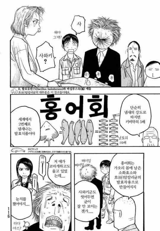 일본 만화에 나온 홍어 처음 먹은 사람 묘사.manga