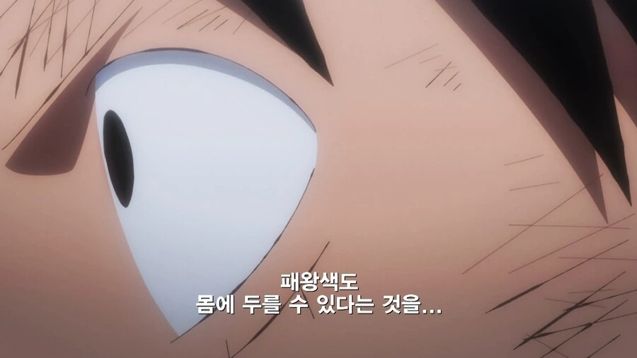 원피스]1타강사 카이도