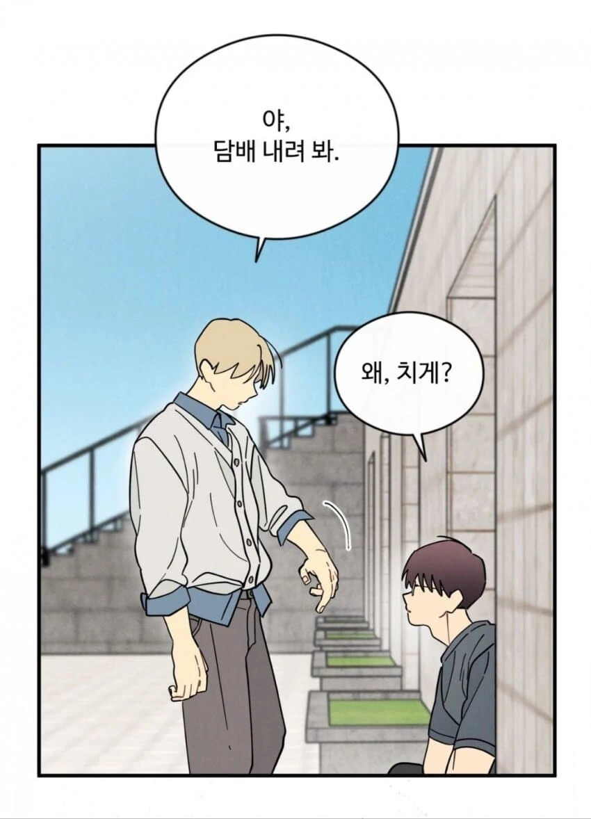 제대로된 도발