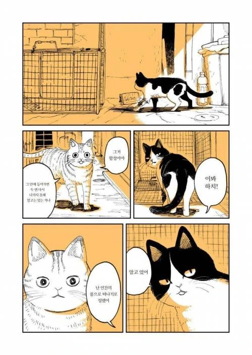 manga_275222_002_3a0ca064cb46.webp