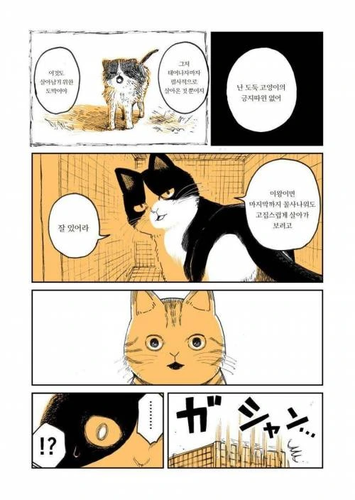 manga_275222_003_66e10d8f2fbb.webp