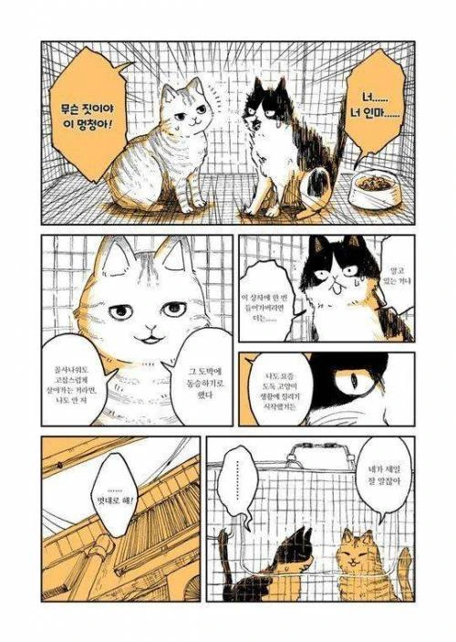 manga_275222_004_0c8f75ca4f50.webp