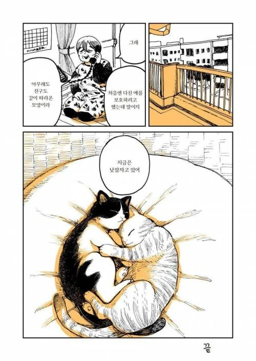 manga_275222_005_212d0aa05457.webp