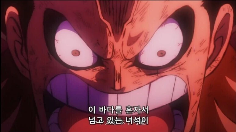 원피스)이바다를 혼자 넘고있는 녀석이 있을 리가 없잖아