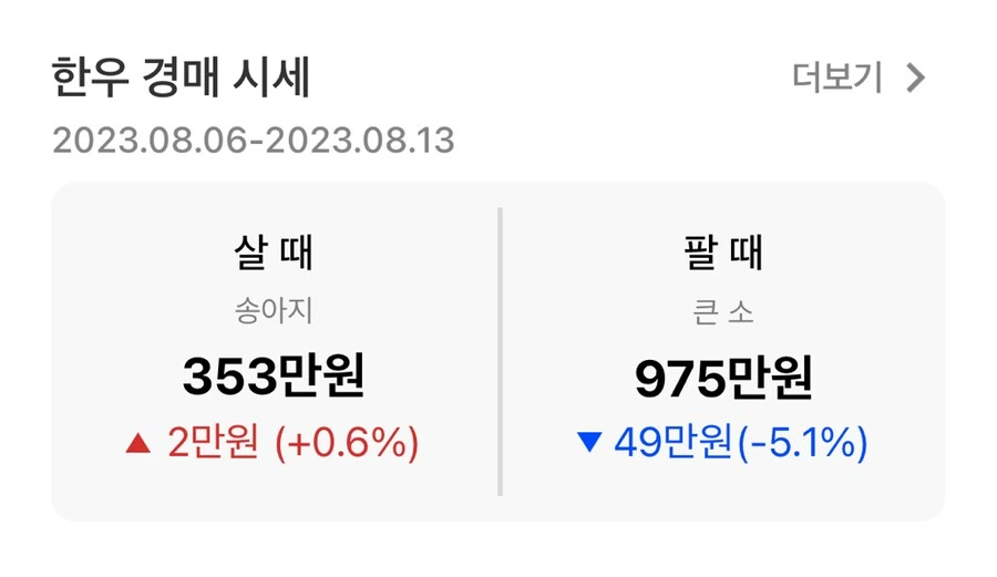 시골 이혼 재판 만화 - 이미지 2
